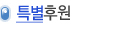 특별후원